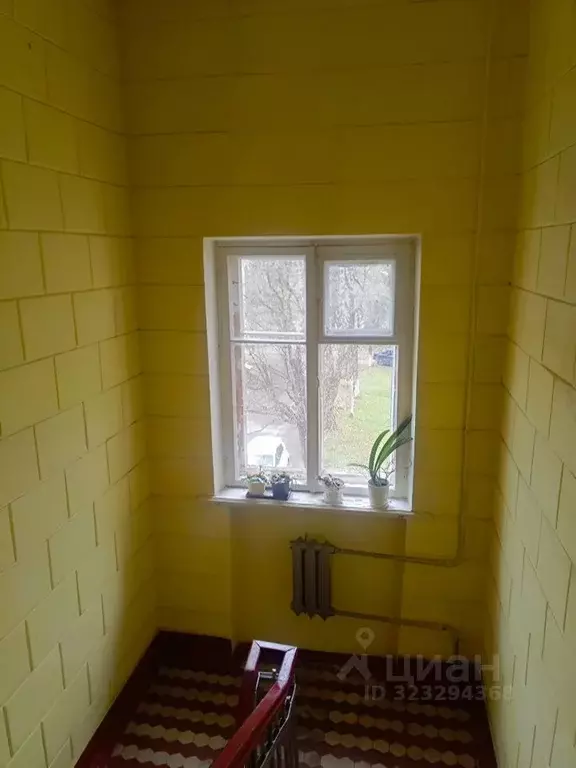 Комната Ленинградская область, Сланцы пос. Большие Лучки, ул. ... - Фото 1