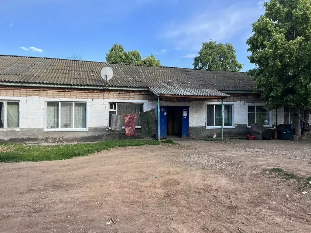 1-к кв. Башкортостан, Альшеевский район, с. Раевский Молодежная ул., 1 ... - Фото 0