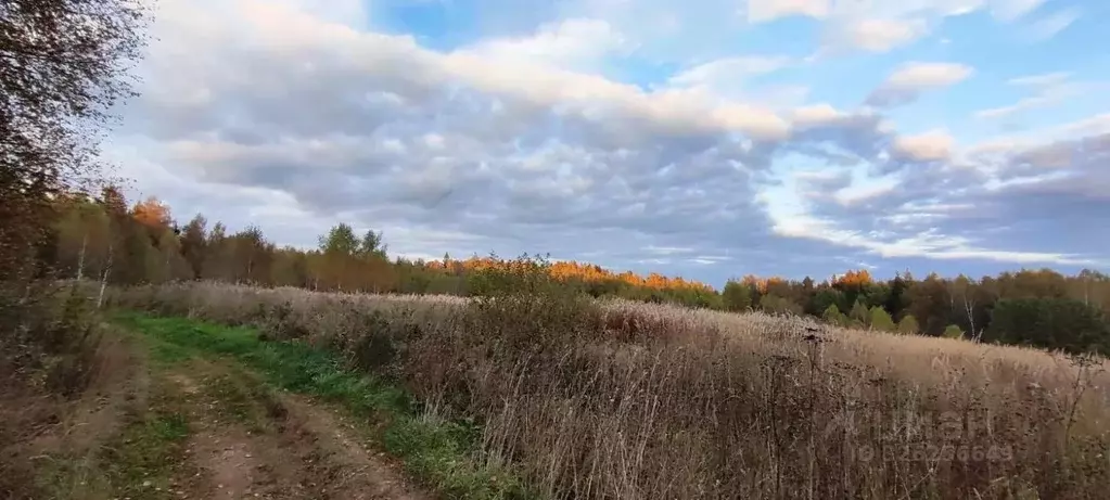Участок в Московская область, Дмитровский муниципальный округ, д. ... - Фото 2