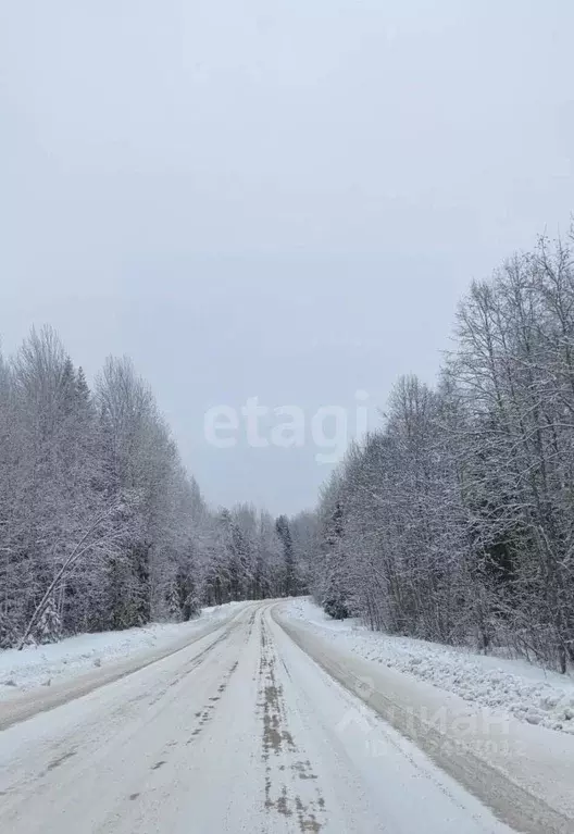Участок в Вологодская область, д. Алексино (Кипеловский сельсовет)  ... - Фото 2