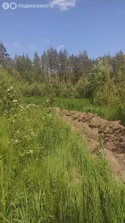 Участок в Приозерский район, Плодовское сельское поселение, посёлок ... - Фото 0