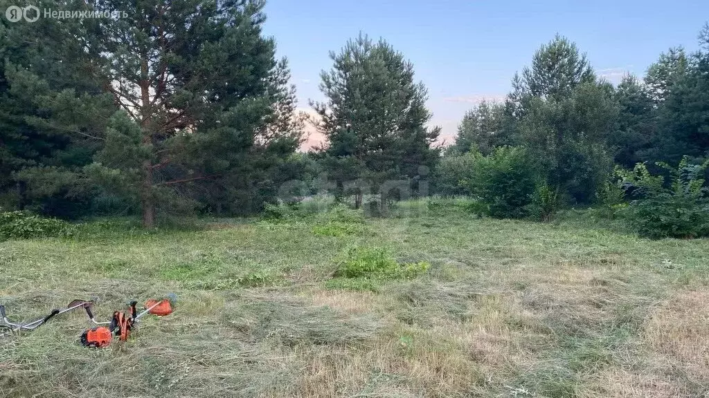 Участок в посёлок Власть Труда, Сосновая улица (16 м) - Фото 1