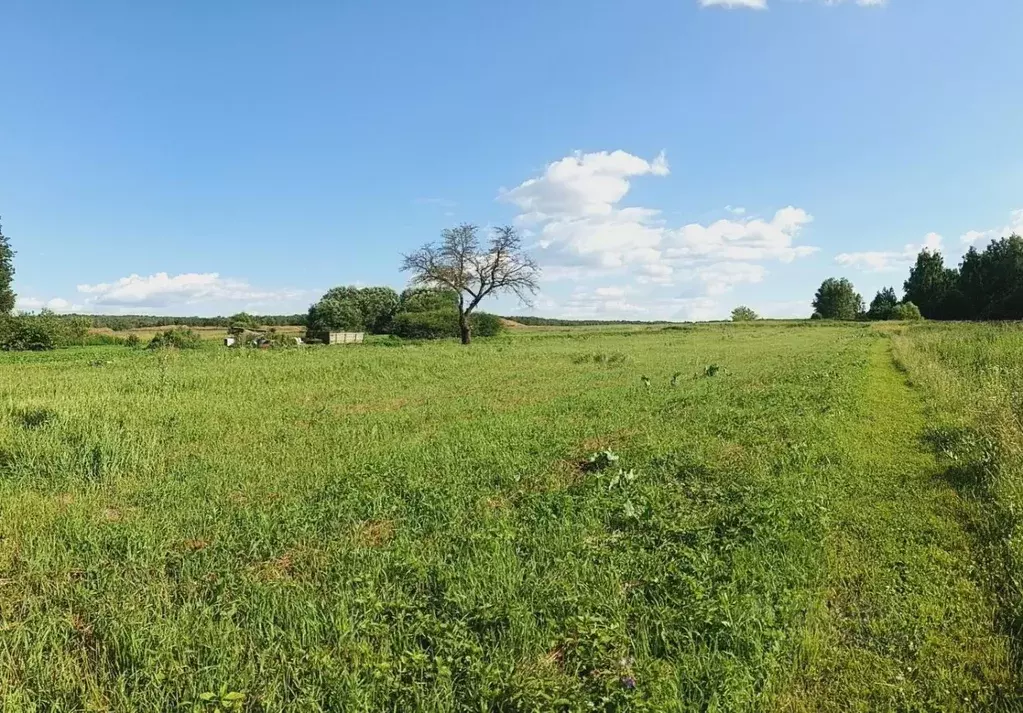 Участок в Московская область, Ступино городской округ, д. Карпово  ... - Фото 0