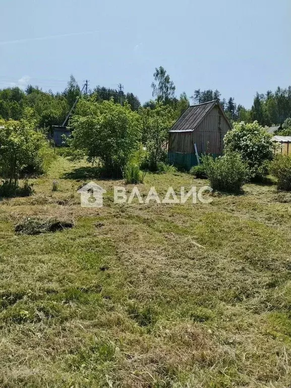 Участок в Ленинградская область, Волосовский район, д. Большая Вруда  ... - Фото 1