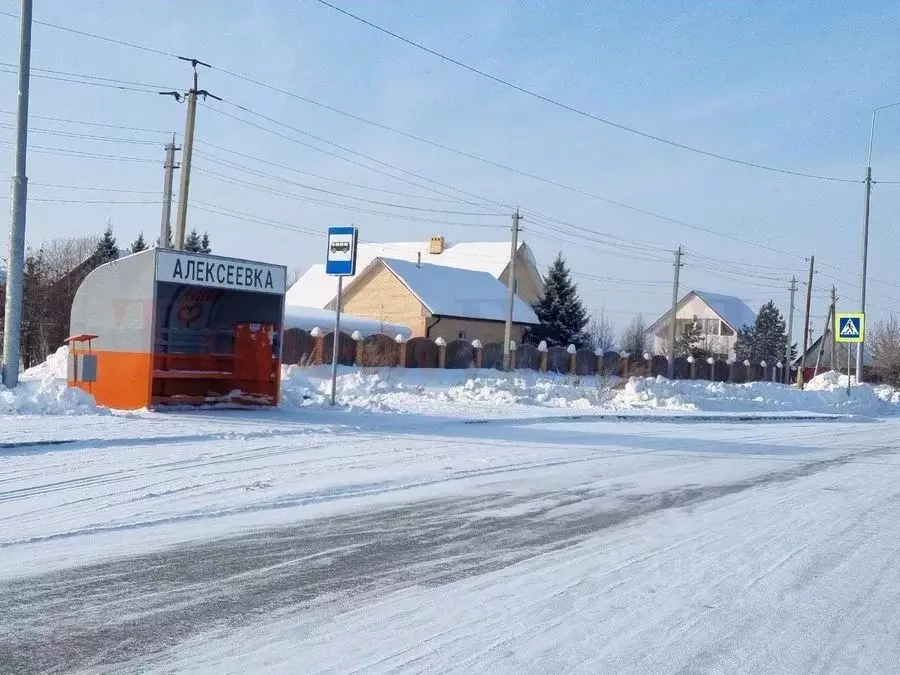Участок в Новосибирская область, Новосибирский район, Толмачевский ... - Фото 1