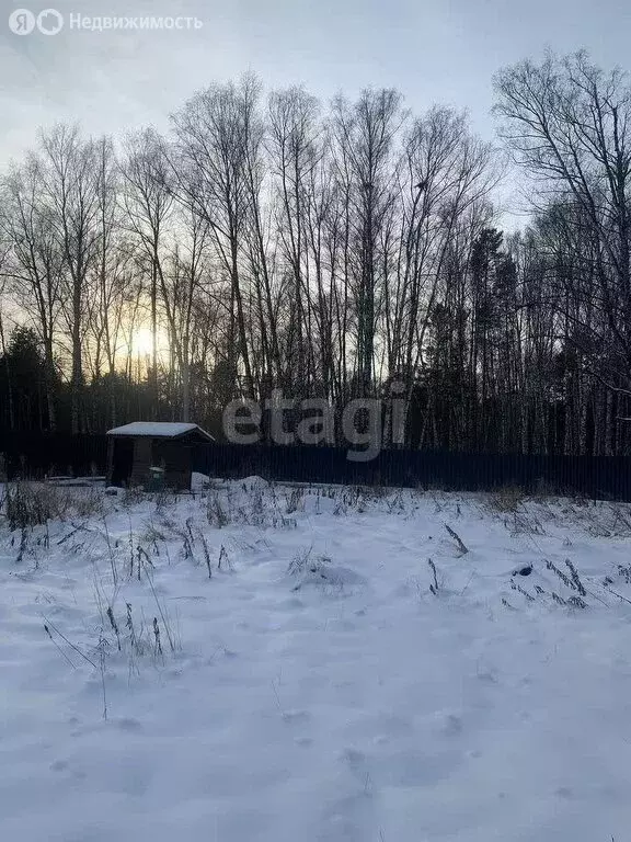 Участок в Морозовский сельсовет, СНТ Морозко, Полевая улица (10.7 м) - Фото 0