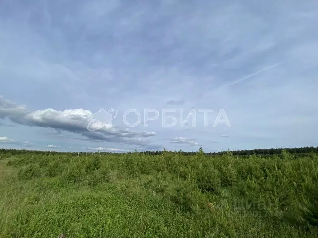 Участок в Свердловская область, Тугулым пгт ул. Ленина (12.0 сот.) - Фото 1