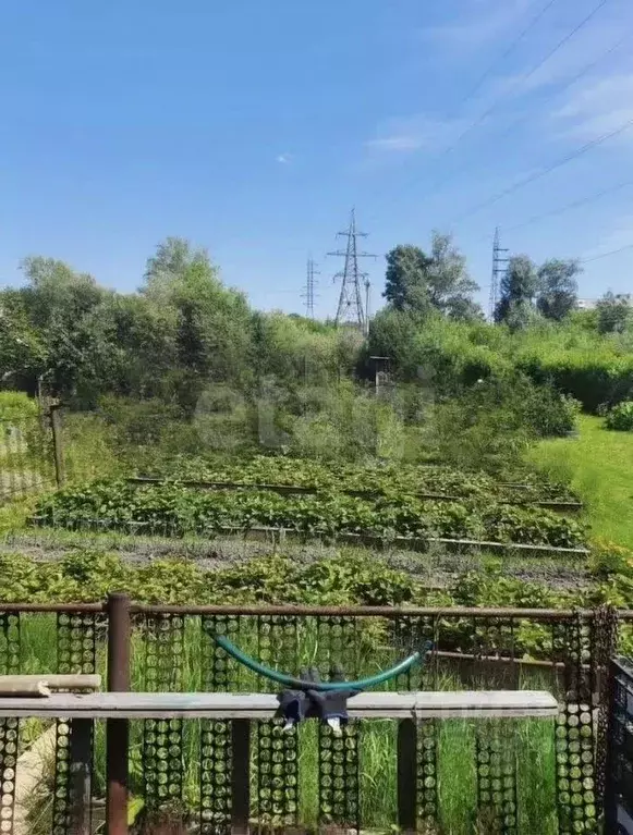 Дом в Новосибирская область, Новосибирск Лилия СНТ, 631 (20 м) - Фото 2