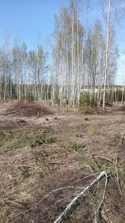 Участок в Московская область, Орехово-Зуевский городской округ, д. ... - Фото 1