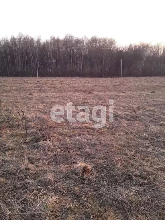 Участок в Калужская область, Калуга городской округ, д. Лихун  (15.0 ... - Фото 2