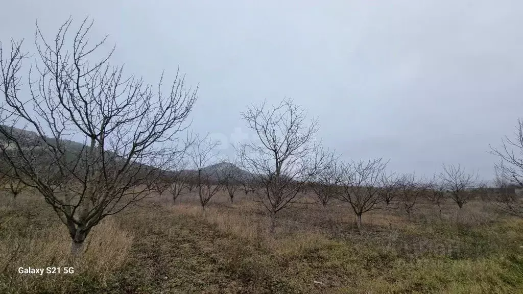 Участок в Крым, Бахчисарайский район, с. Красный Мак ул. Садовая ... - Фото 1