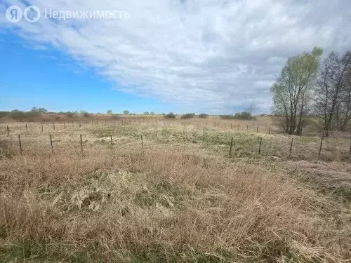 Участок в Калининградская область, Полесский муниципальный округ, ... - Фото 1