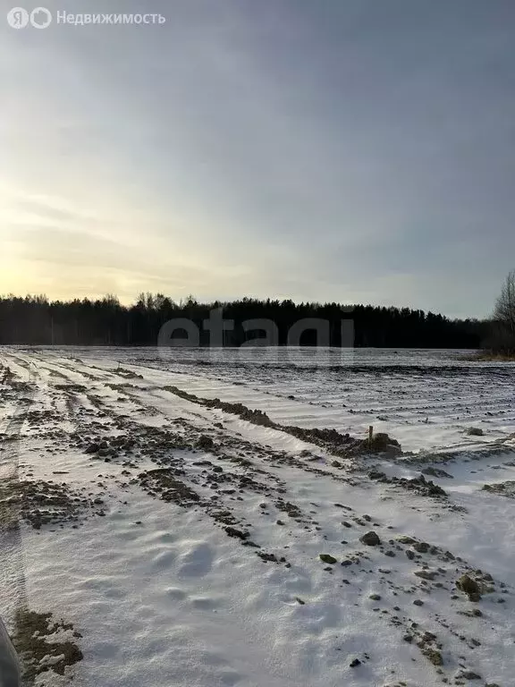 Участок в Тюменский муниципальный округ, Мальковское муниципальное ... - Фото 2