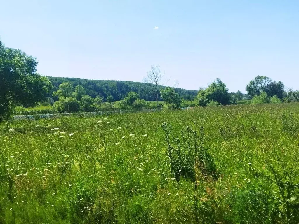 Участок в Тульская область, Ясногорский район, Иваньковское с/пос, ... - Фото 2