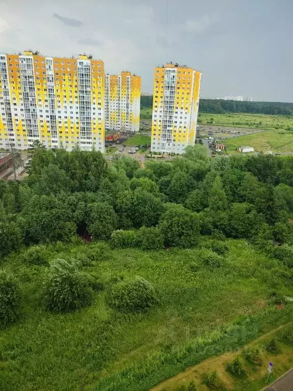 Студия Московская область, Солнечногорск городской округ, д. Голубое ... - Фото 1