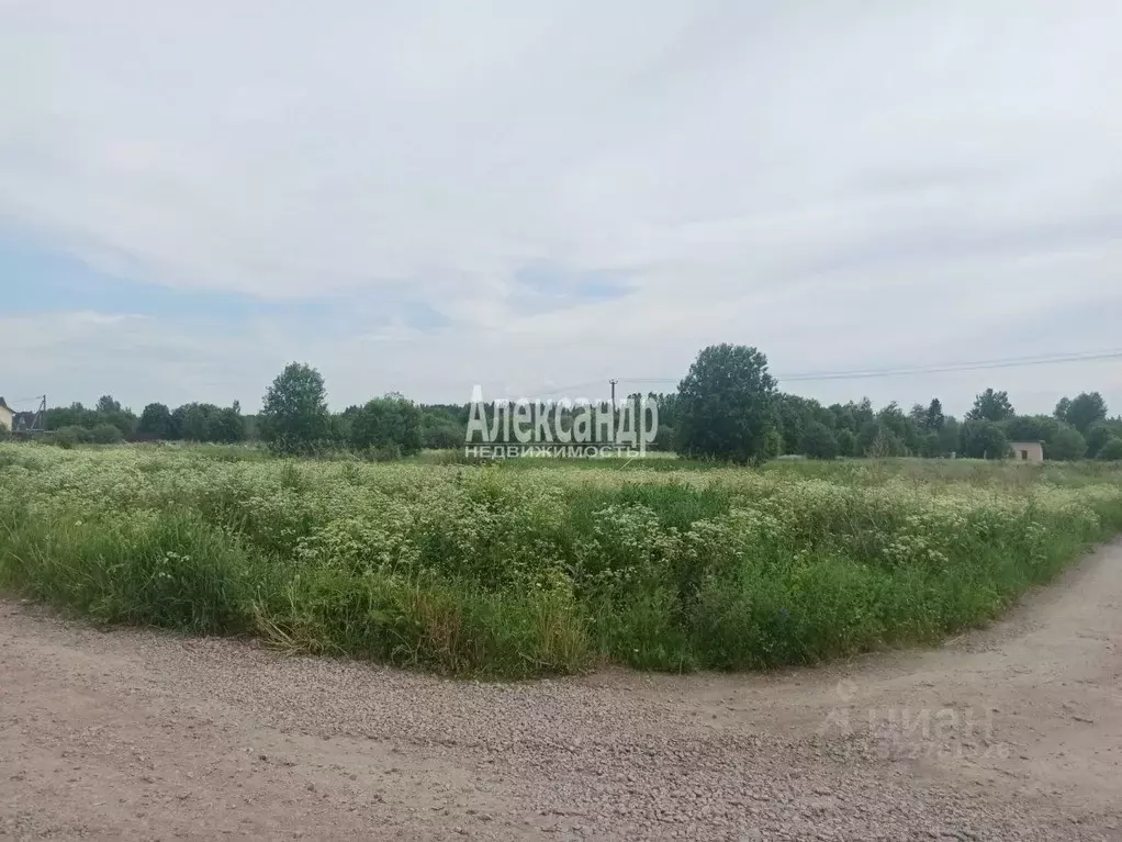 Участок в Ленинградская область, Выборгский район, пос. Селезнево ... - Фото 0