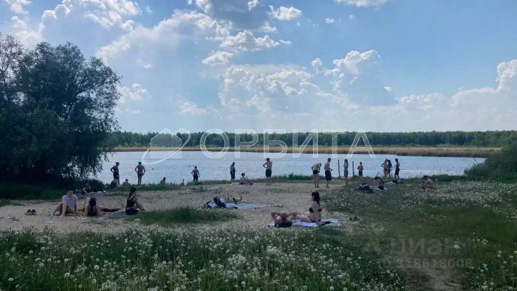 Участок в Тюменская область, Нижнетавдинский район, Ромашка СНТ ул. ... - Фото 0