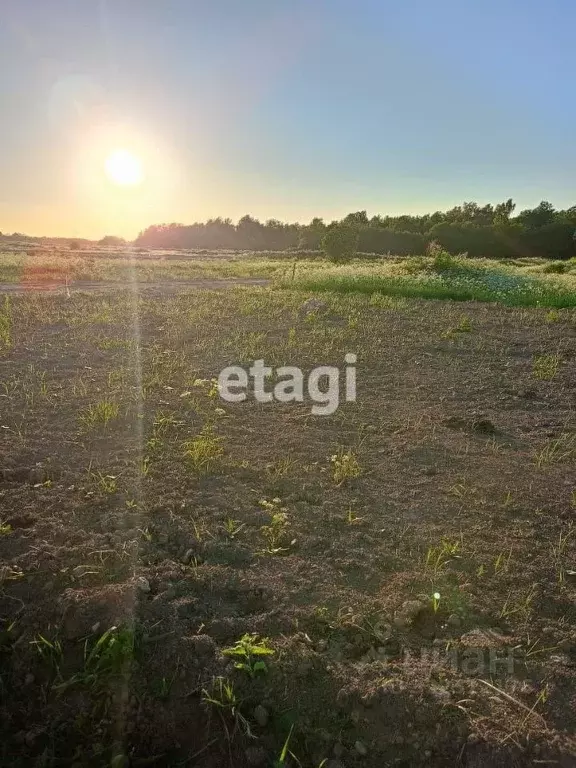 Участок в Ленинградская область, Ломоносовский район, Лопухинское ... - Фото 0