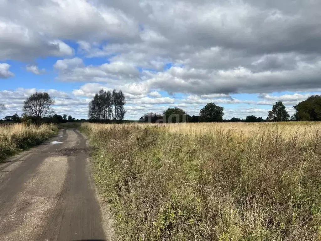 Участок в Калининградская область, Гурьевский муниципальный округ, ... - Фото 1