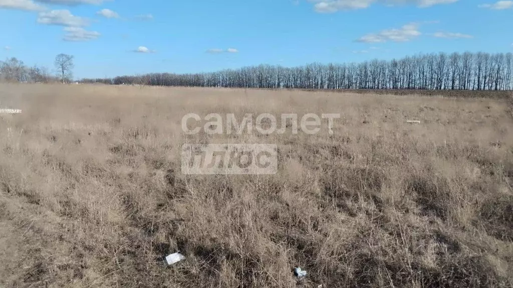 Участок в Липецкая область, Грязинский муниципальный округ, с. ... - Фото 2