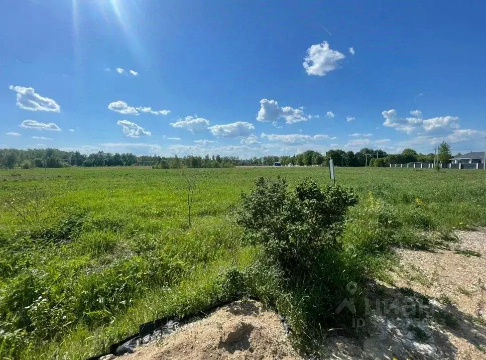 Участок в Московская область, Ступино городской округ, с. Ивановское  ... - Фото 1