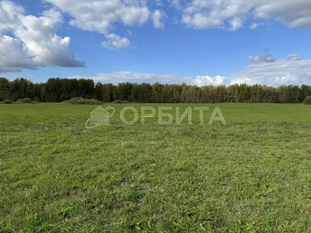 Участок в Тюменская область, Тюменский район, д. Елань 14 (5.78 сот.) - Фото 1