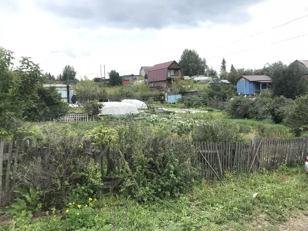 Участок 10 сот. (СНТ, ДНП) - Фото 0
