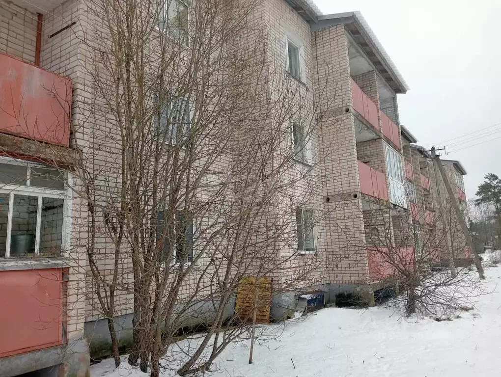 1-к кв. Псковская область, Печоры ул. Мелиораторов, 18 (31.3 м) - Фото 2