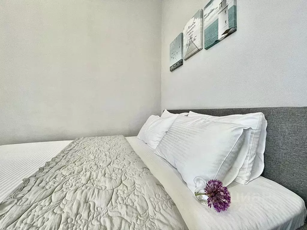 Студия Ставропольский край, Кисловодск Зеленая ул., 5 (21.0 м) - Фото 1