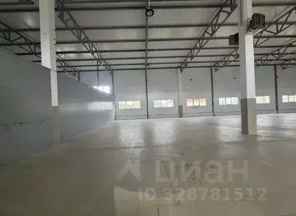 Склад в Ленинградская область, Отрадное Кировский район, Ленинградское ... - Фото 2