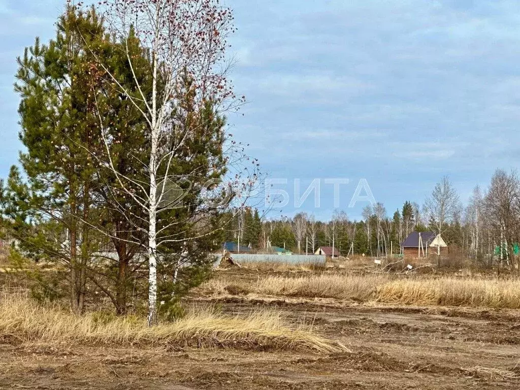 Участок в Тюменская область, Нижнетавдинский район, с. Тюнево  (10.0 ... - Фото 1