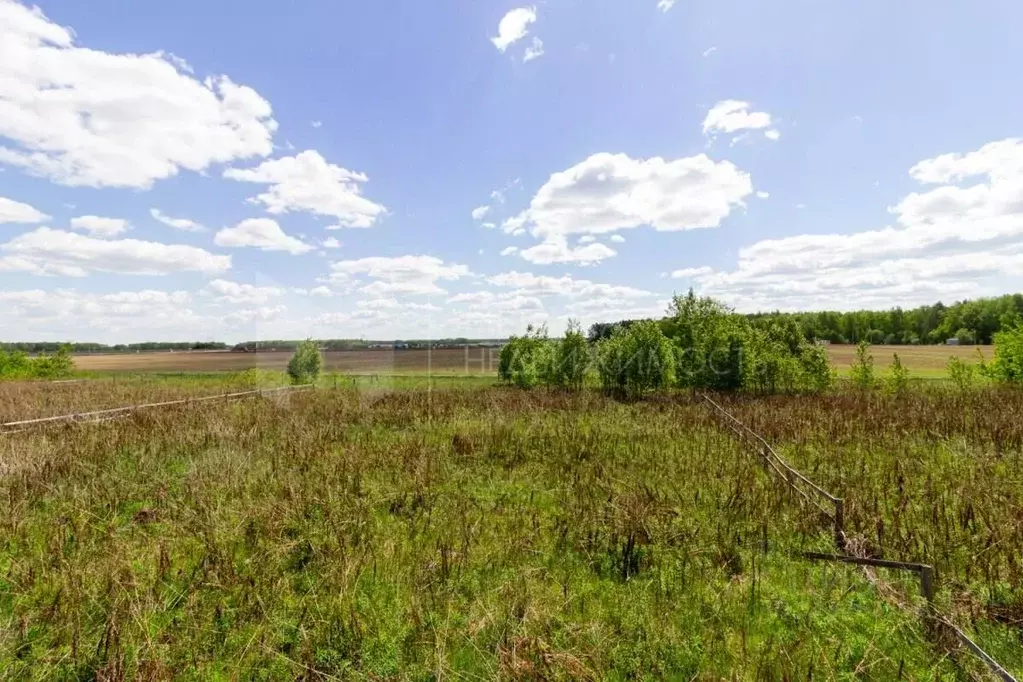 Участок в Тюменская область, Тюменский район, с. Каменка  (12.82 сот.) - Фото 1