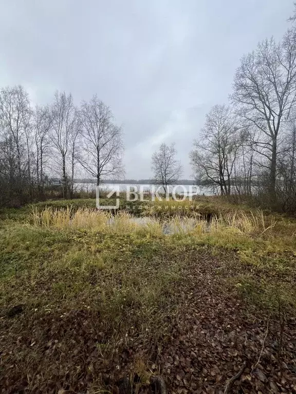 2-к кв. Костромская область, Кострома пос. Красная Байдарка, 8А (36.7 ... - Фото 2