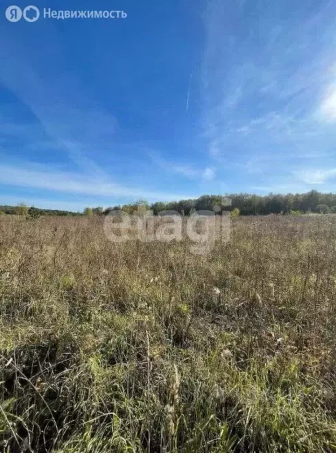 Участок в Владимирская область, Петушинский муниципальный округ, ... - Фото 2