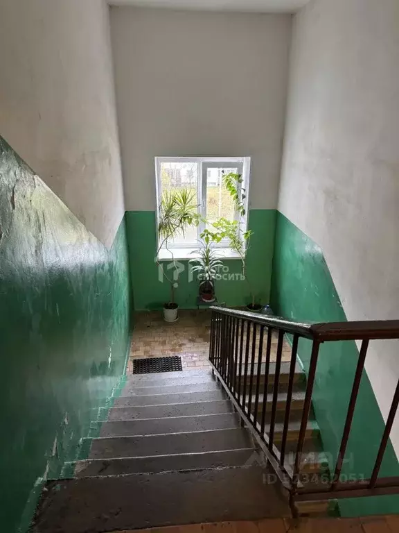 2-к кв. Ленинградская область, Отрадное Кировский район, ул. Дружбы, ... - Фото 2