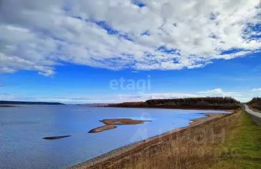 Участок в Пермский край, Ильинский городской округ, с. Сретенское  ... - Фото 0