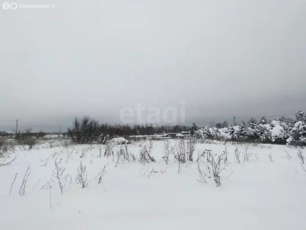 Участок в Тверская область, Калининский муниципальный округ, деревня ... - Фото 2