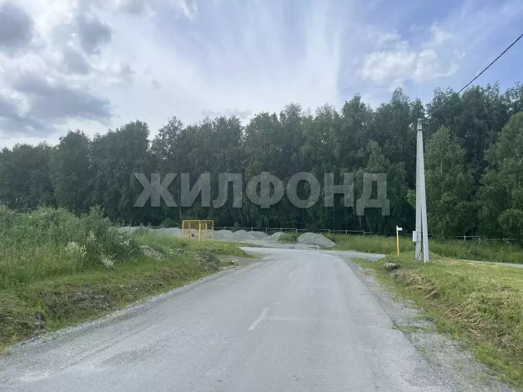 Участок в Алтайский край, Косихинский район, с. Плотниково  (6.0 сот.) - Фото 1