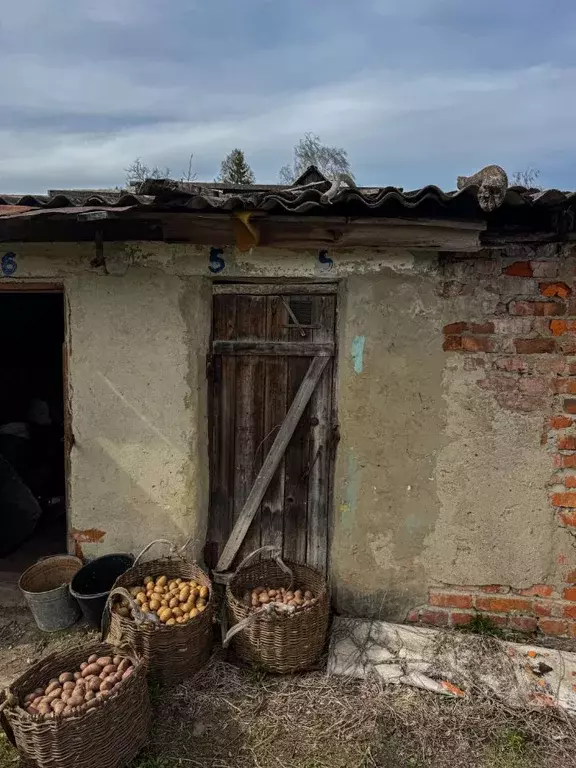 Помещение свободного назначения в Орловская область, Кромы пгт ул. К. ... - Фото 0