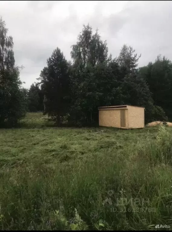 Участок в Ленинградская область, Выборгский район, Каменногорское ... - Фото 0