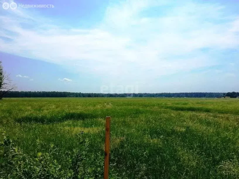 Участок в село Частая Дубрава, Московская улица (26 м) - Фото 1