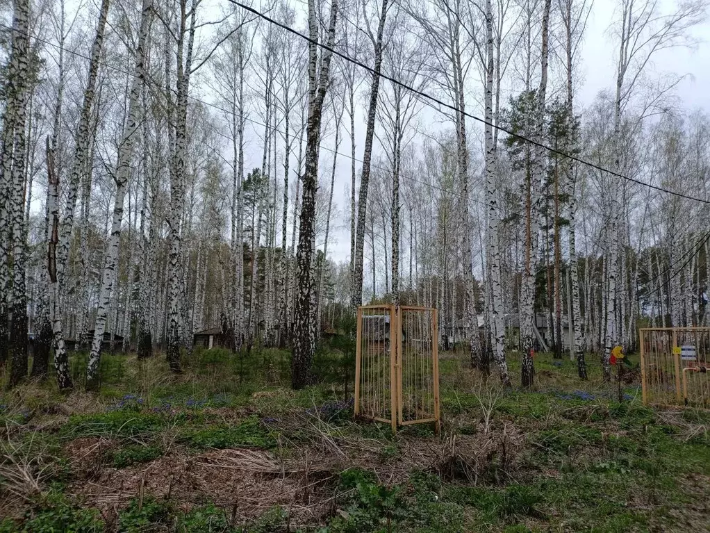 Участок в Свердловская область, Верхняя Пышма городской округ, пос. ... - Фото 0