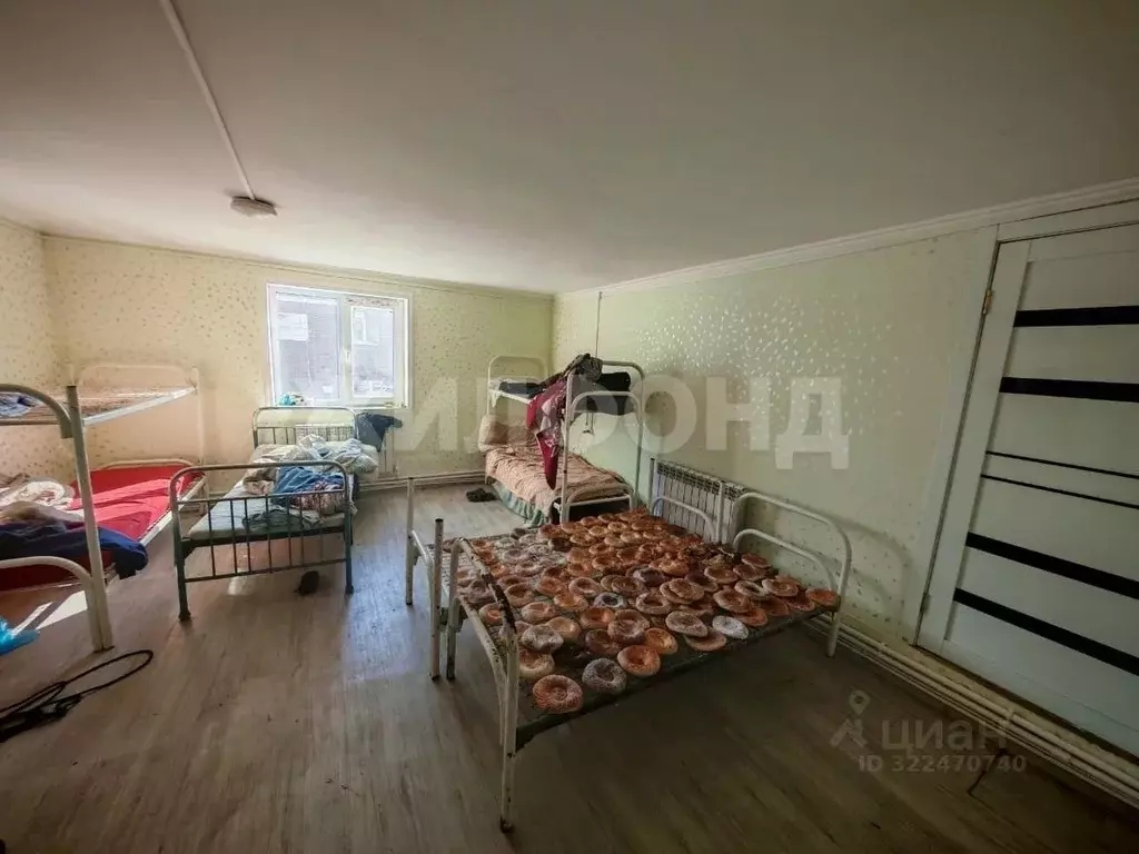 Студия Новосибирская область, Новосибирск пер. 1-й Энтузиастов, 10 ... - Фото 2