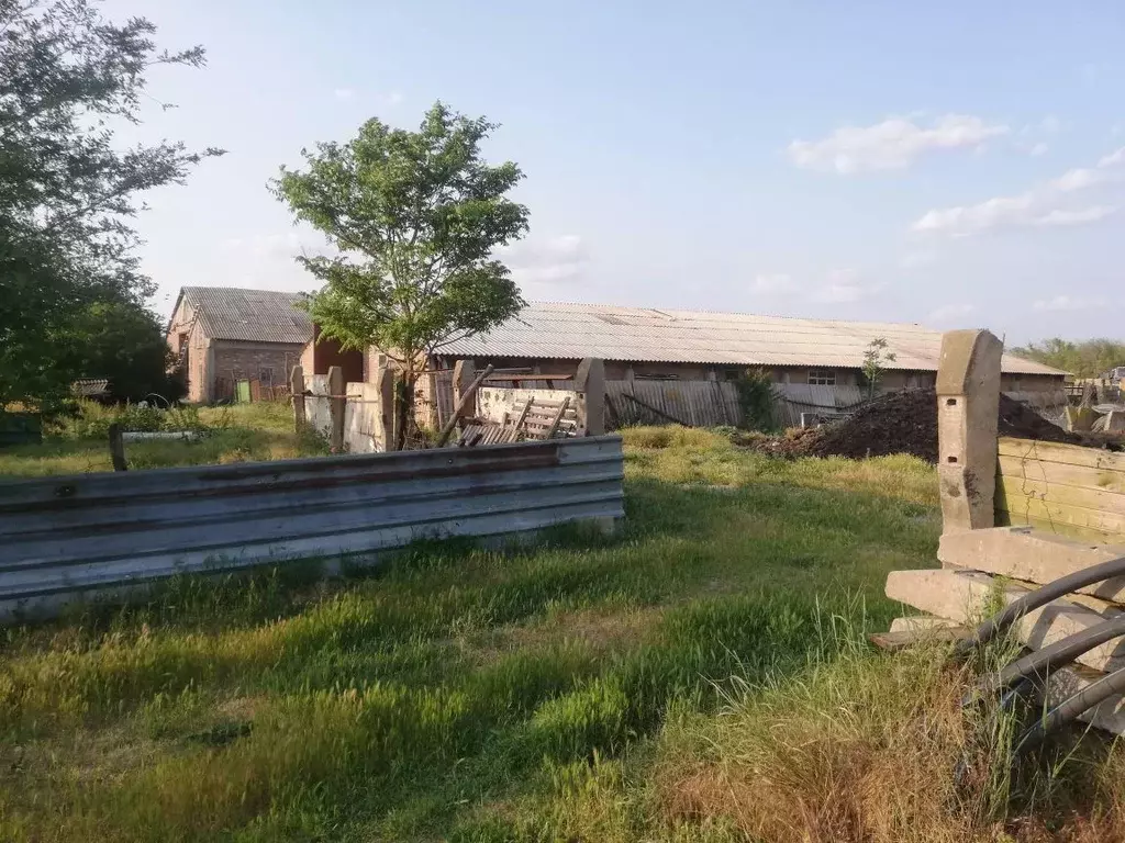 Участок в Ростовская область, Сальск Аэродромная ул. (3.75 сот.) - Фото 0