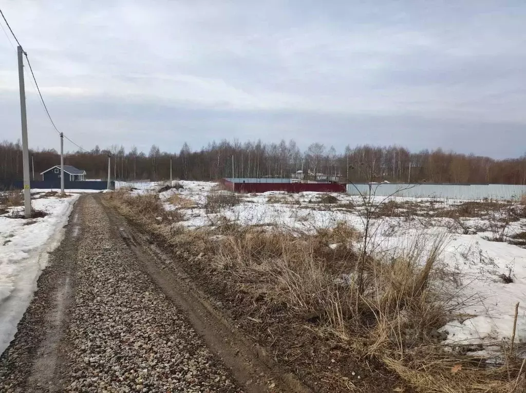 Участок в Московская область, Воскресенск городской округ, д. ... - Фото 1