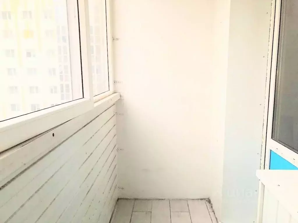 Студия Московская область, Солнечногорск городской округ, Голубое пгт ... - Фото 2