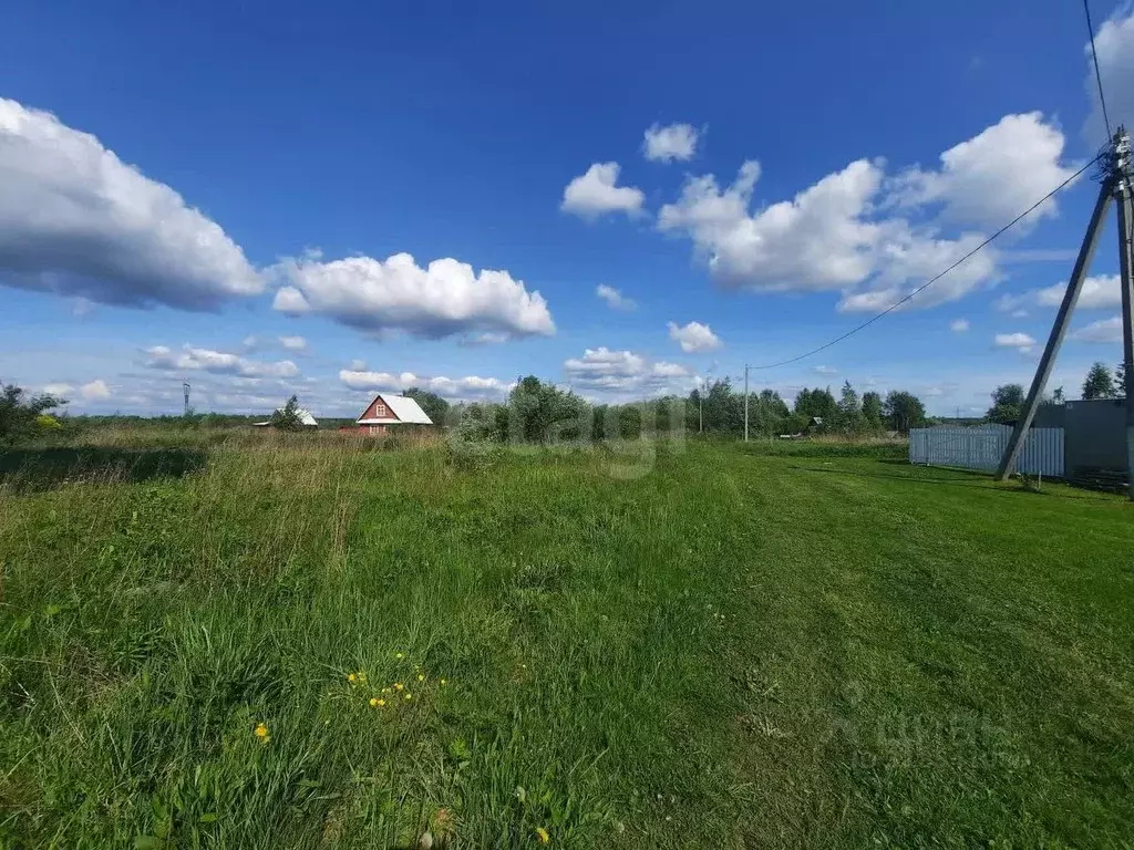 Участок в Вологодская область, Череповецкий район, Мяксинское ... - Фото 1