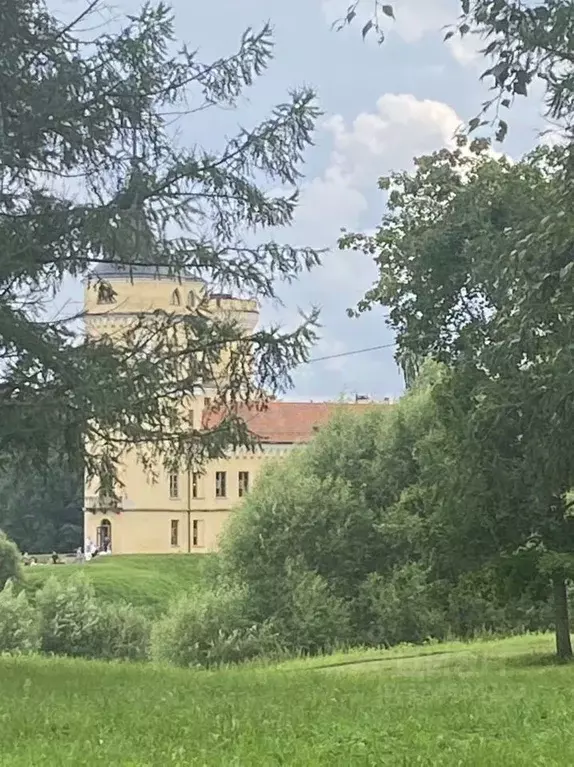 2-к кв. Санкт-Петербург, Санкт-Петербург, Павловск Госпитальная ул., ... - Фото 2