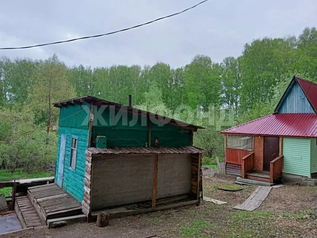 Дом в Новосибирская область, Новосибирский район, Барышевский ... - Фото 2