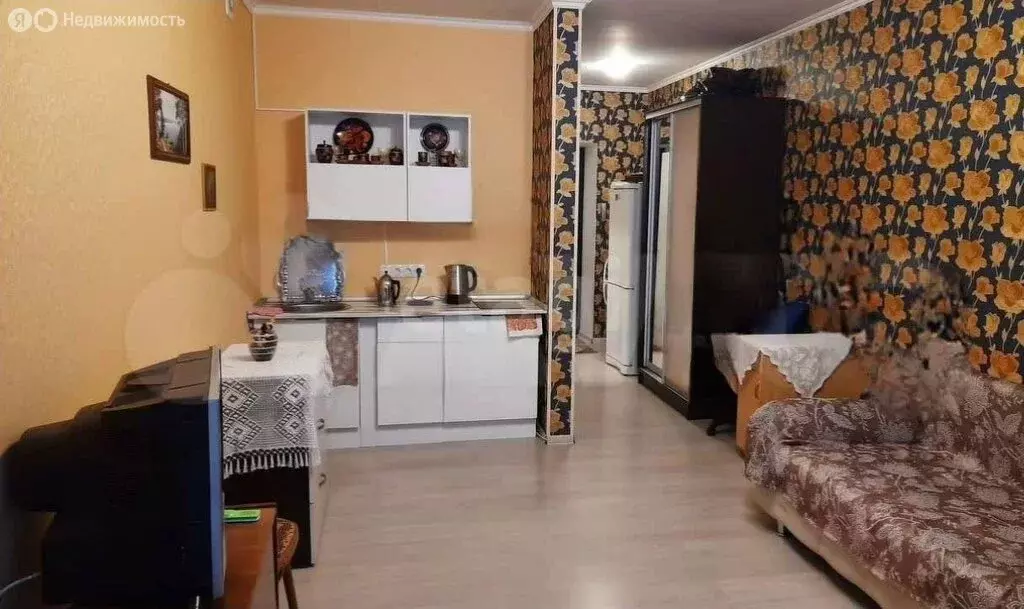 Квартира-студия: Самара, Центральная улица, 1Б (30 м) - Фото 1